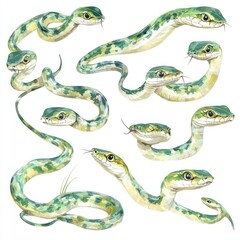 Obraz premium Illustration of various green snakes in different poses and angles.