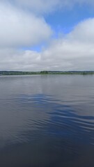 Lake shore overgrown with water lilies and reeds on a bright day