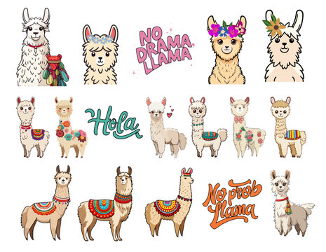 Christmas llama toms deals