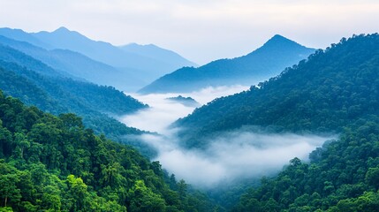 Fototapeta premium Morning with trees, hills, shadows and morning fog