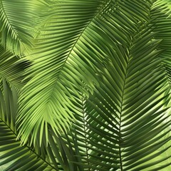 Obraz premium pandan tree leaves that are still fresh and green