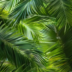 Fototapeta premium pandan tree leaves that are still fresh and green