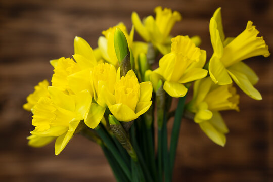 Yellow narcissus and daffodil on rustic wooden background, floral nature photography, Easter wallpaper