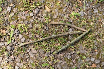 Hiking trail sign, wooden twig arrow on the ground. Survival hack.