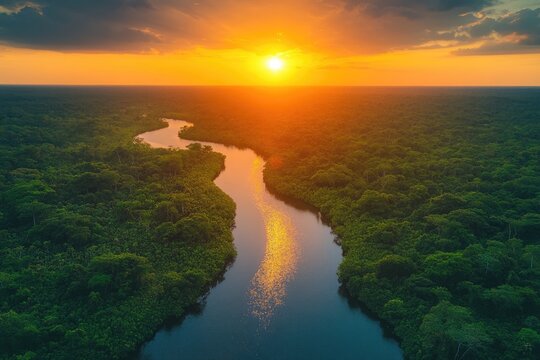 Winding river flowing through green forest at sunset