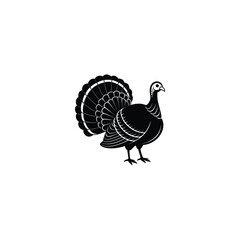 turkey isolated on white background