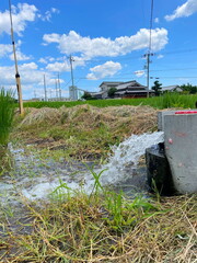 真夏の田んぼが待ちわびた水