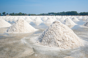 Salt farming