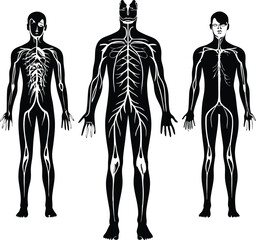 Fototapeta premium Human Nervous Flat Black Silhouette Vector Art Bundle
