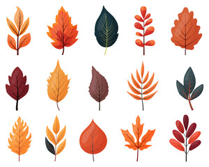 Obraz premium A set of autumn colored leaves highlighted on a white background.