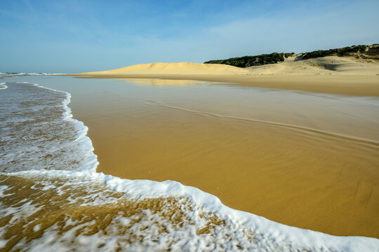 Beach coastline at Cannon Rocks trail in Eastern Cape, South Africa