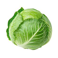 Fototapeta premium cabbage isolated on transparent background, side view