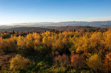 Fototapeta premium A scenic view of mountain peaks under the sun on a forest ridge on a mountainside with golden aspens and bright autumn colors creating a virtual color palette.