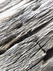 Classic teak wood texture photo