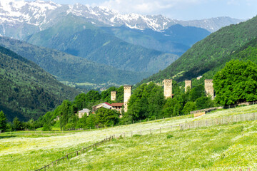 Medieval defensive stone towers with loopholes in the village. Field with white flowers. Hills covered with trees and high snow capped mountains