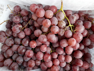 Sweet red grape background over paper, wine grape texture, healthy fruit Red wine grape background, close-up of top view
