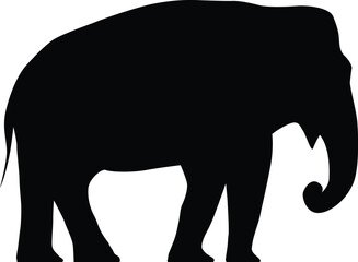Elephant silhouette. Symbol or emblem. vector illustration