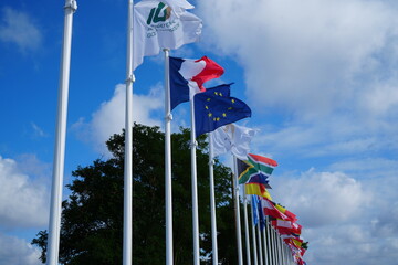 Flag of each country