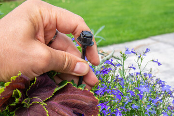 Male hand holding drip irrigation and installing it into the flower pot on garden patio