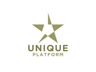 Star Logo. Luxury Star Icon with Geometric Shapes Cutout Style isolated on White Background. Usable for Business and Branding Logos.