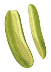 Homemade pickled cucumber. Clip-art of marinated food for packaging, label, menu, signboard or showcase. Fermented veggies, crunch gherkin with salt. Healthy vegetarian food
