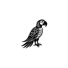 tropical parrot and bird head black and white vector outline
