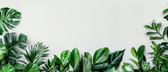 Fototapeta premium A green leafy border with a variety of plants