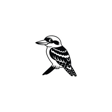 recommend clip art: Vector hand drawn doodle sketch kookaburra bird isolated on white background