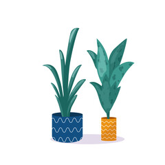 Set of green tropical flowers in blue and orange vases, isolated on a white background. Flat vector illustration.