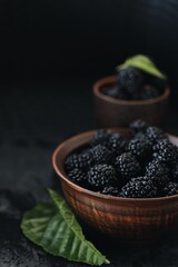 black and juicy blackberry berry