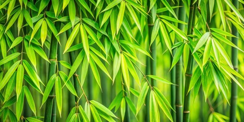 Close Up of Vibrant Green Bamboo Leaves, Nature, Freshness, Serenity, Lush , bamboo, foliage
