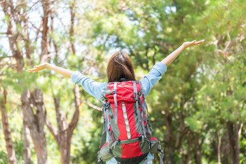 Woman Hikers Admiring and Forest walk and camping adventures