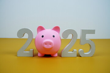 New Year 2025 saving money and start investment concept with piggy bank