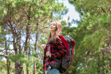 Woman Hikers Admiring and Forest walk and camping adventures