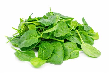 Fresh baby spinach leaves on white background close up