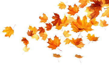 PNG Autumn leaves falling white background