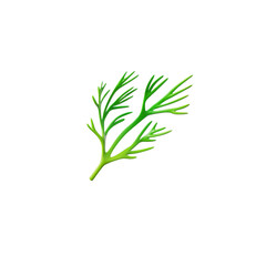 3D icon a sprig of green dill, known for its benefits for a healthy diet