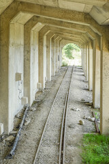 Beautiful But Abandoned Mianyue Line Railway With Tunnels And Thousand People Cave (Qianrendong) At The Hiking Trail To Water Forest (Shuiyang Forest), Alishan National Scenic Area, Chiayi,Taiwan