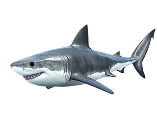 Obraz premium 3D cartoon of Majestic great white shark swimming on transparent background