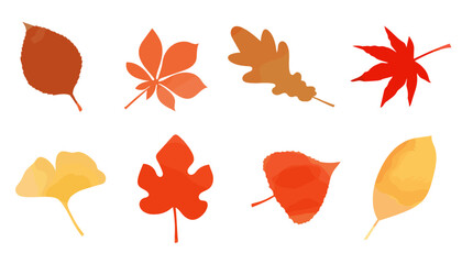 Obraz premium 秋紅葉・イチョウ・カエデ・葉っぱ・落ち葉、葉のセット、ベクターイラスト