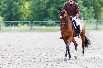Rider in formal attire gracefully trotting a horse in an outdoor equestrian arena on a sunny day