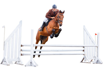Equestrian rider clears a jump on a horse during a sunny day in an showjumping competition