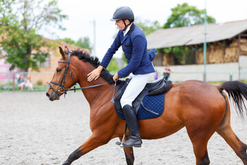 Rider patting his horse after successful showjumping course in outdoor arena during sunny day