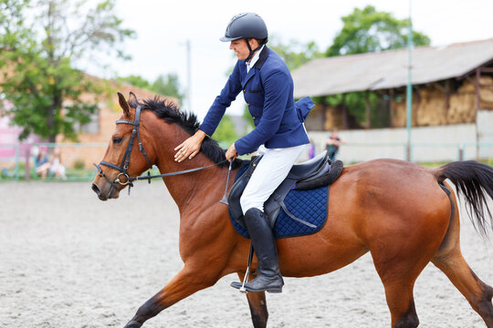 Rider patting his horse after successful showjumping course in outdoor arena during sunny day