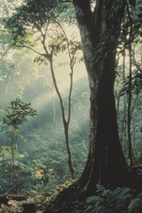 Fototapeta premium Person Sitting on Bench in Woods