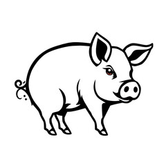 pig isolated on white background