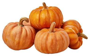 Obraz premium PNG Fresh orange pumpkins autumn harvest