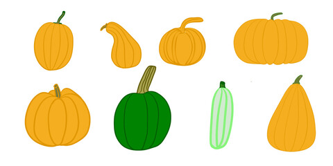 Set of colored pumpkins with different forms, line art, isolated vegetable.
