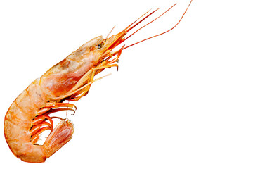 Raw big fresh prawn, shrimp on black cutting serving slate stone desk, healthy snack seafood, background mock up design with copy space