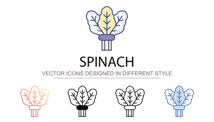 Spinach icon design with white background stock illustration